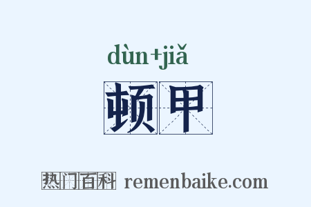 顿甲是什么意思的图片